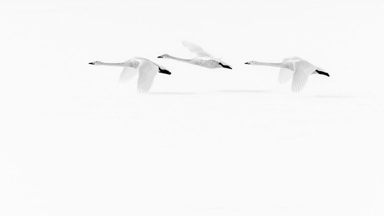 The Art of Emptiness: Marco Ronconi’s black and white photography