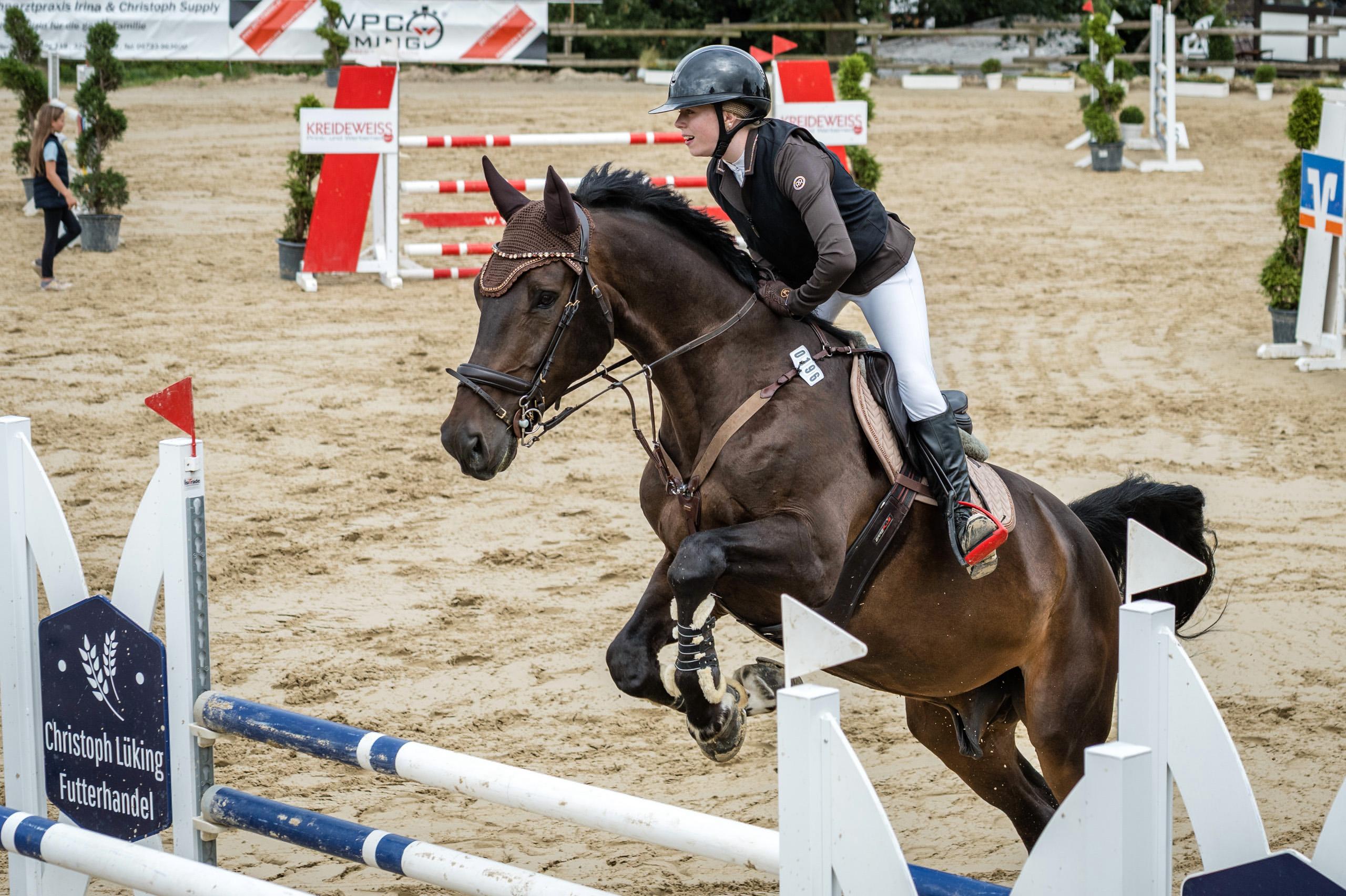 A rider on a brown horse jumps over a barrier during an equestrian competition, with spectators and banners in the background.