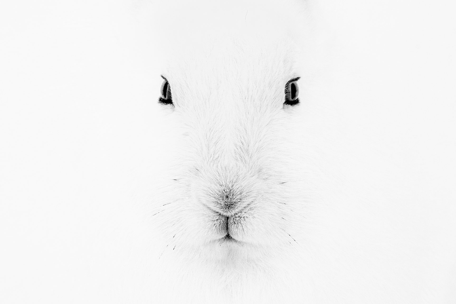 Image from the exhibition "Chiaro Scuro" by Italian photographer Marco Ronconi at Leica Galerie Konstanz