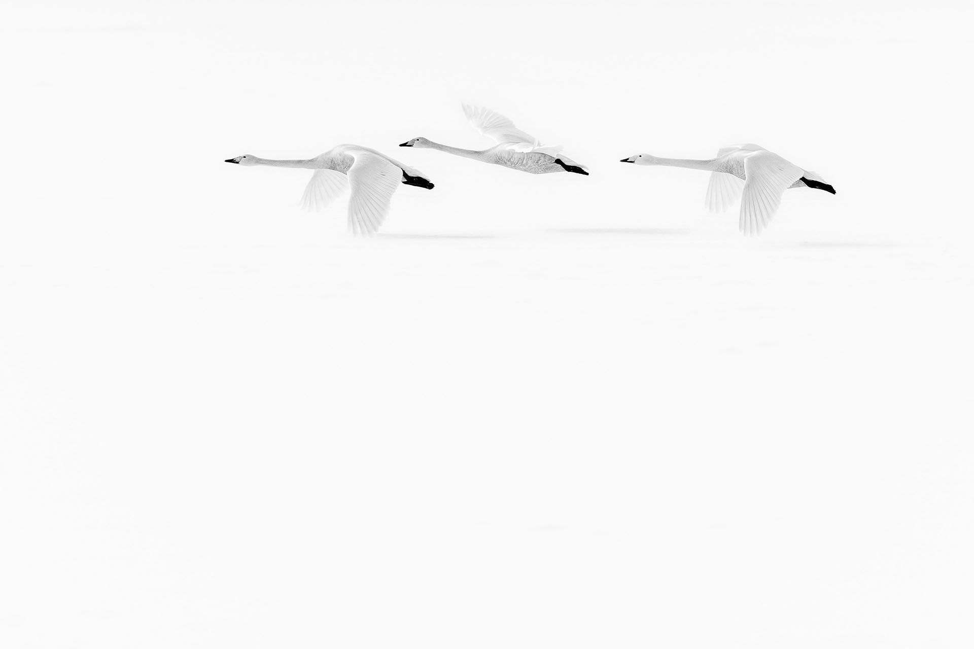 Image from the exhibition "Chiaro Scuro" by Italian photographer Marco Ronconi at Leica Galerie Konstanz