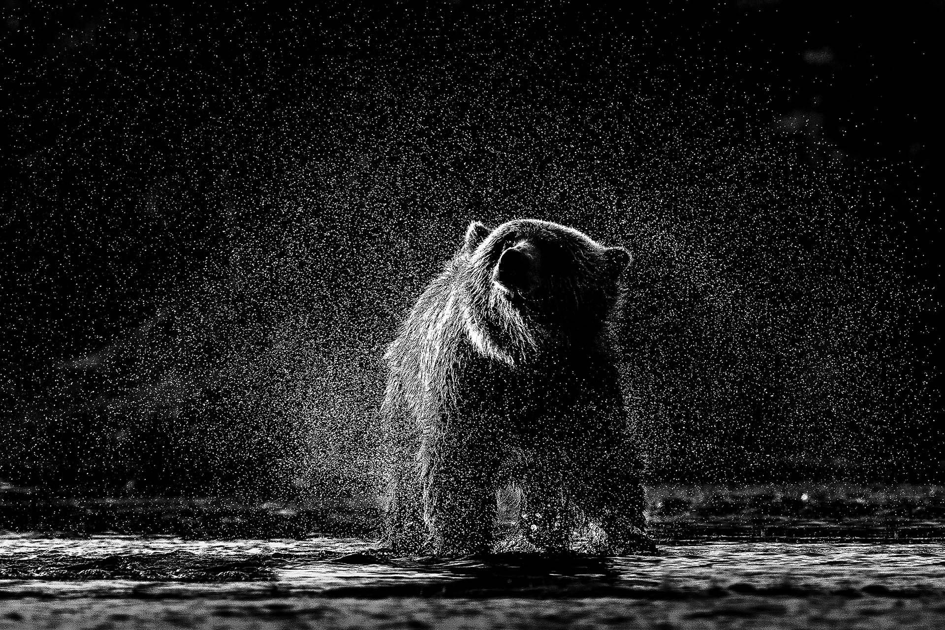 Image from the exhibition "Chiaro Scuro" by Italian photographer Marco Ronconi at Leica Galerie Konstanz