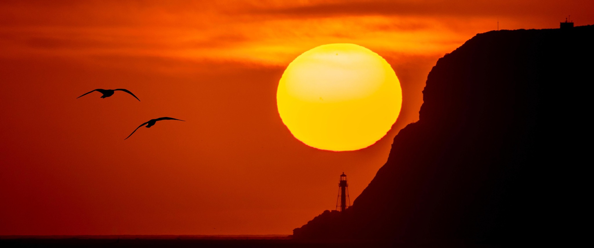 Sunset, lighthouse, and gulls — composite image