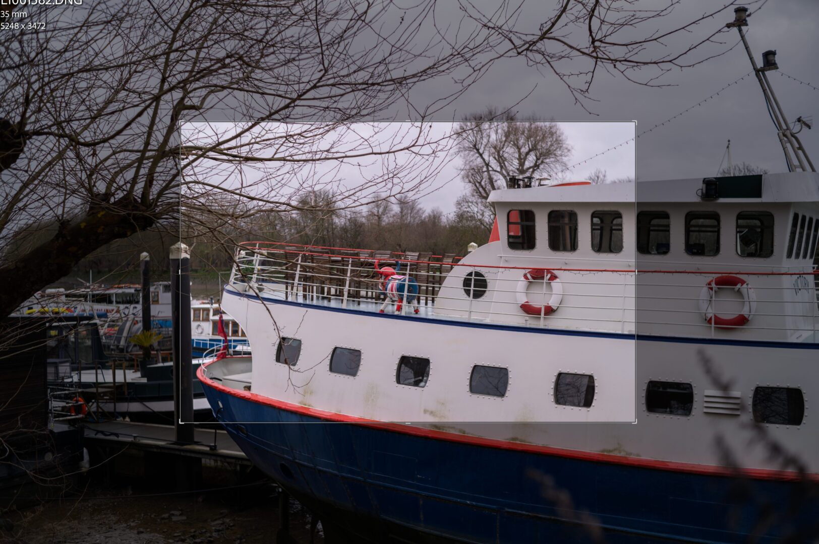 Leica EV1 frameline shown in Lightroom on full frame