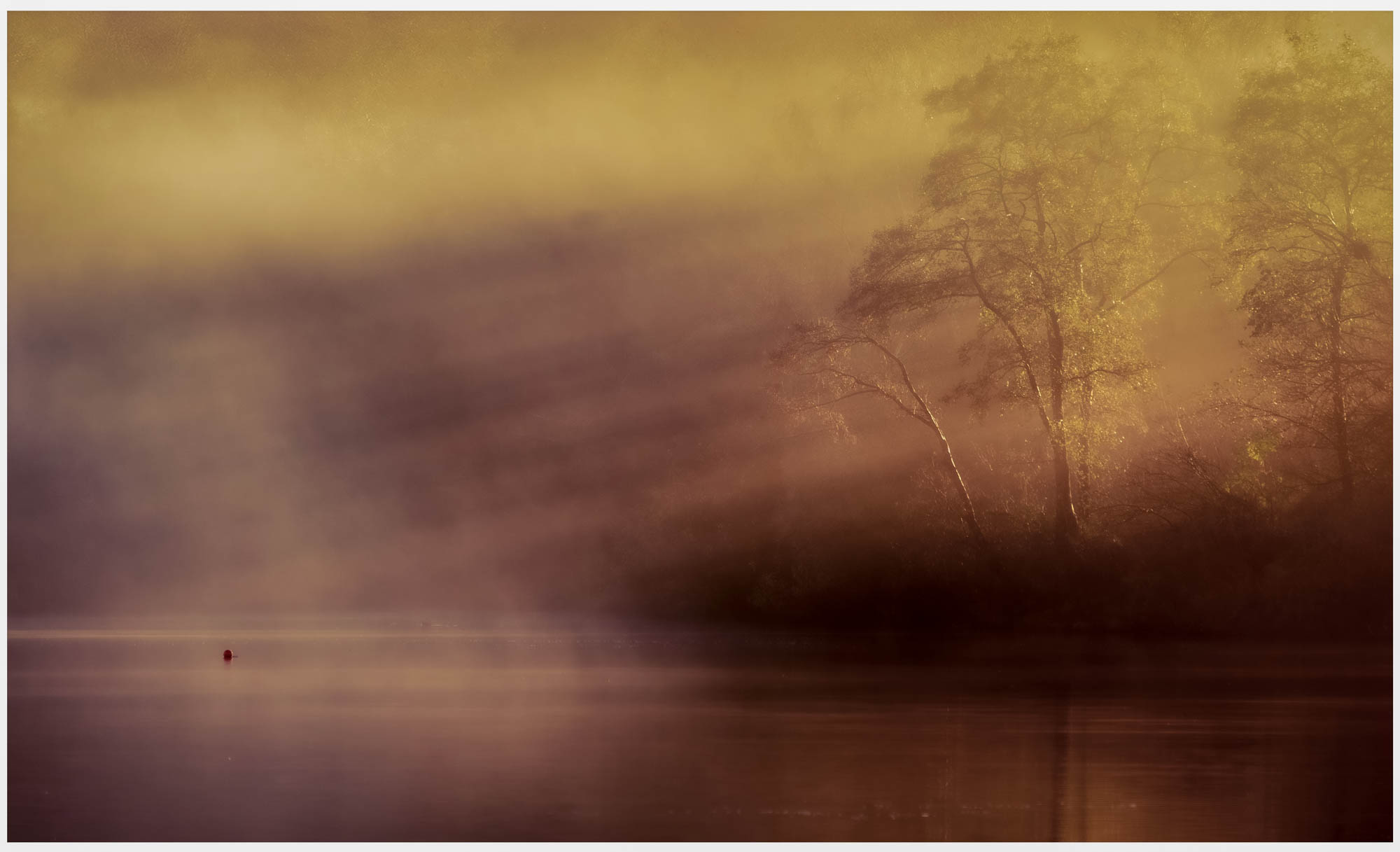 A tranquil misty landscape at dawn featuring silhouettes of trees by a calm water surface, with soft golden and purple hues.