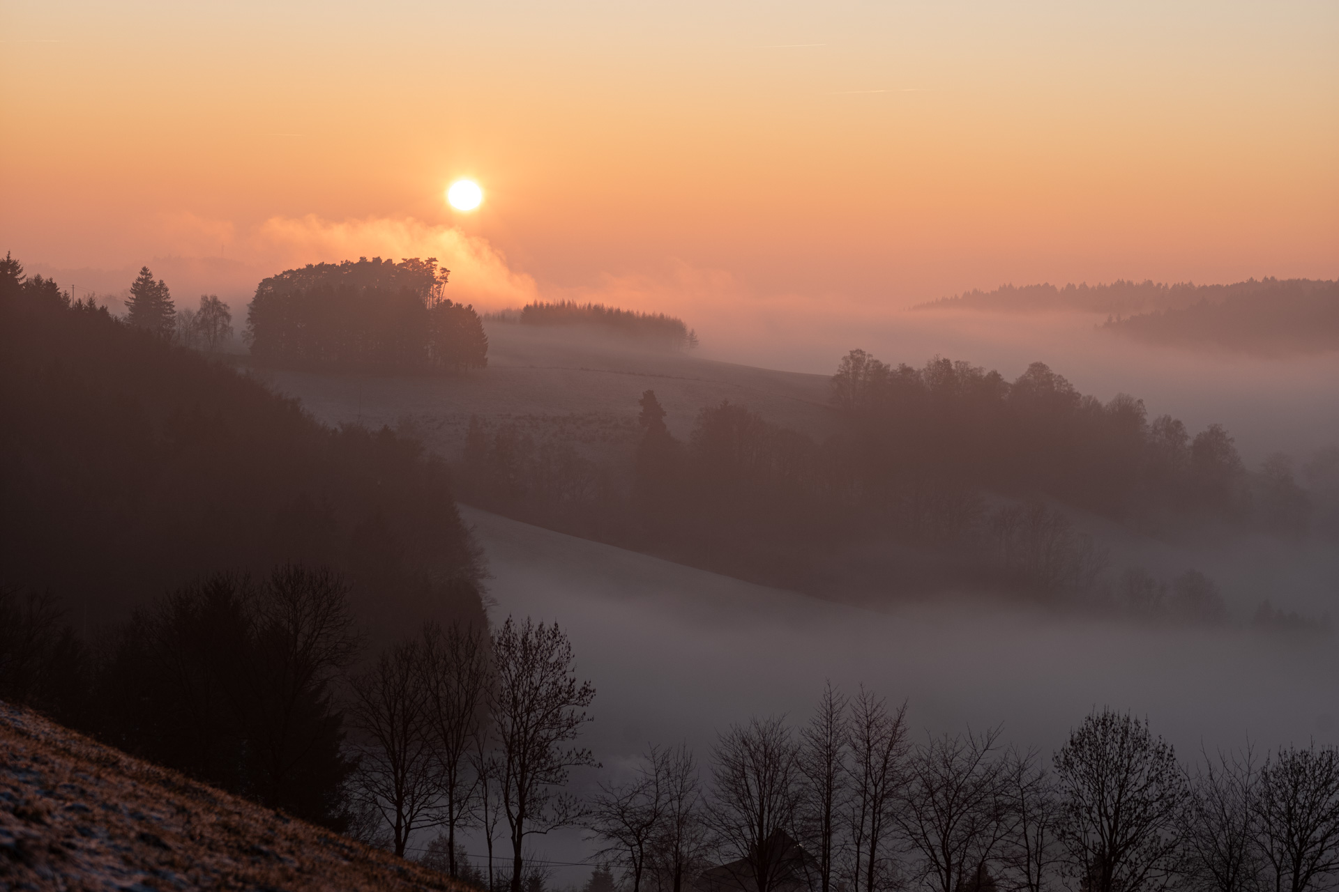 Sample image, taken with Zeiss Sonnar 85/2 ZM