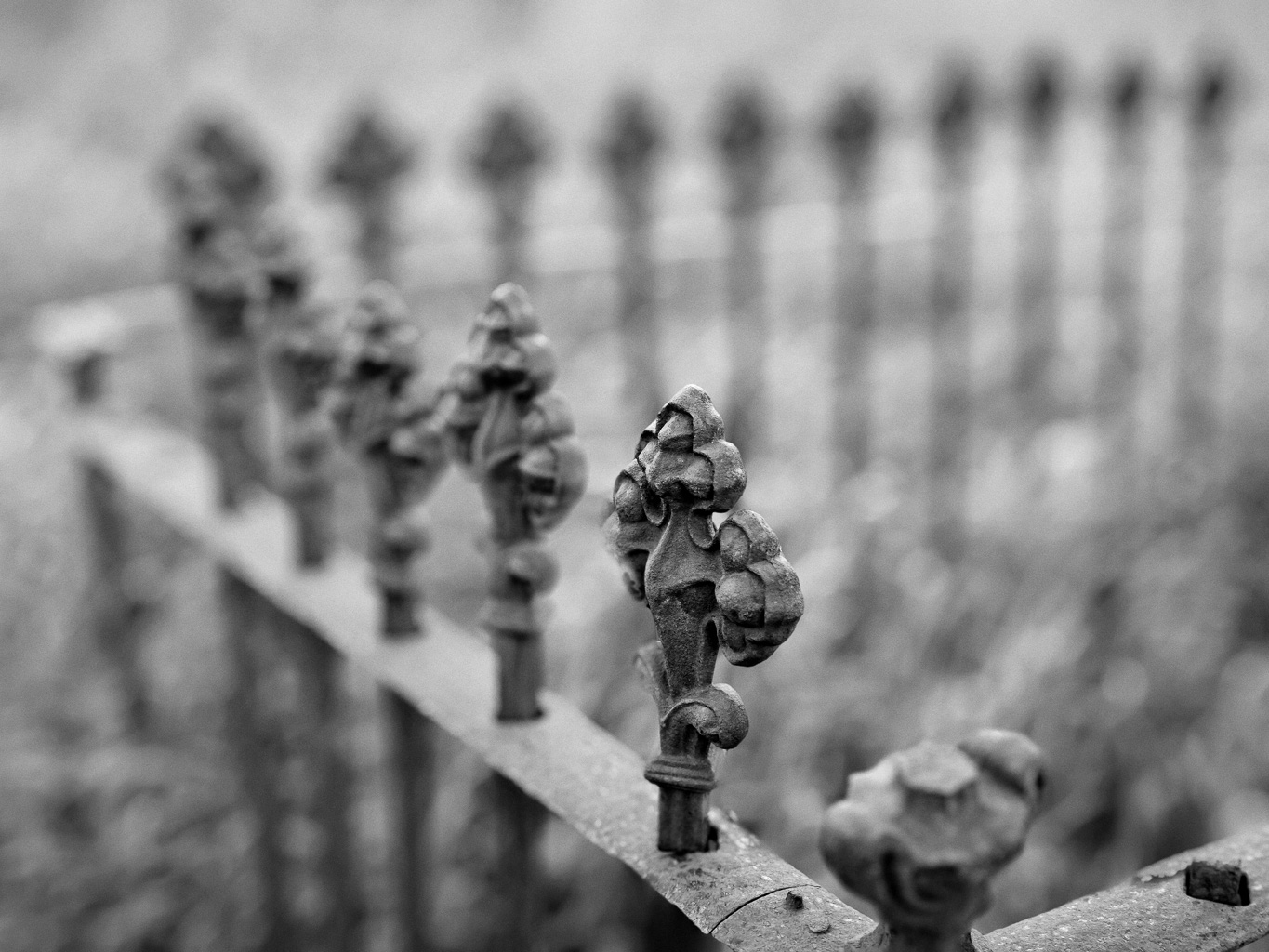 Close-up of an ornate, rusted iron fence with decorative finials in black and white.