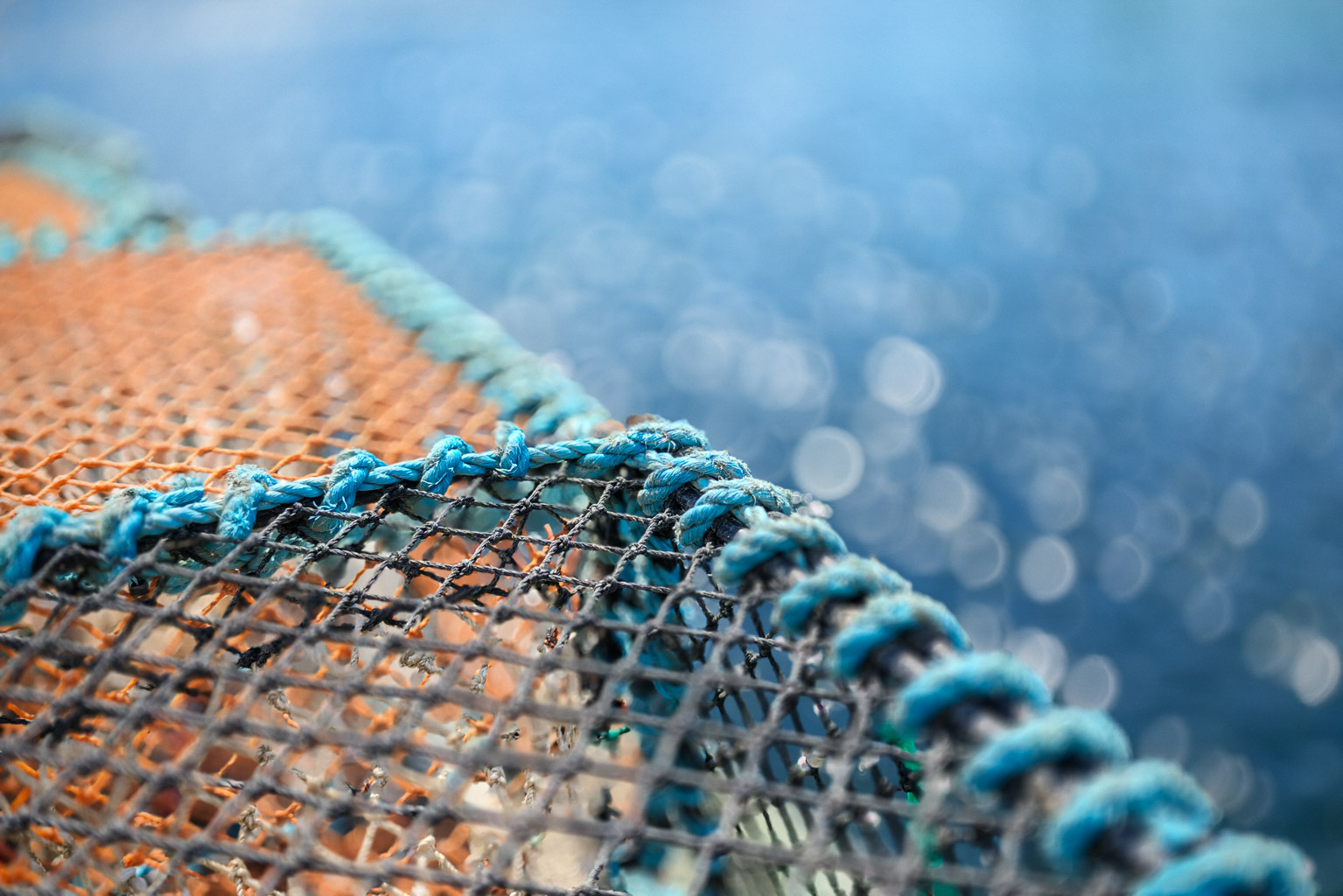 Close-up of a fishing net with orange and blue ropes, on a shimmering blue water background.