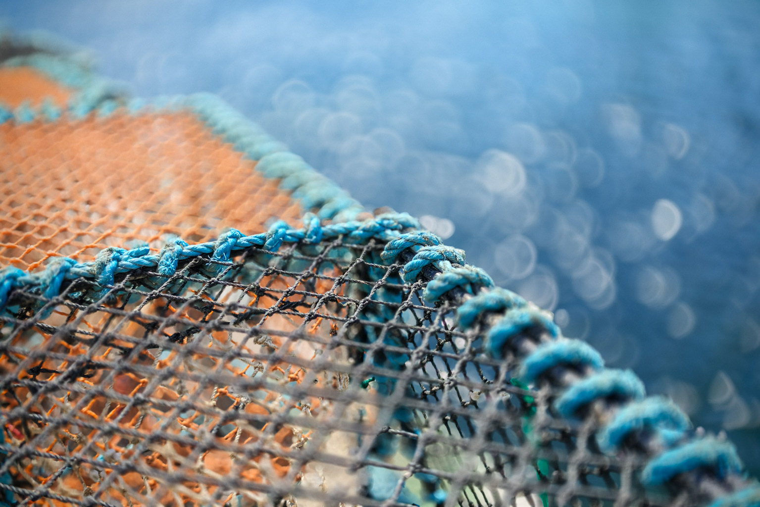 Close-up of a fishing net with blue ropes against a blurred blue water background.