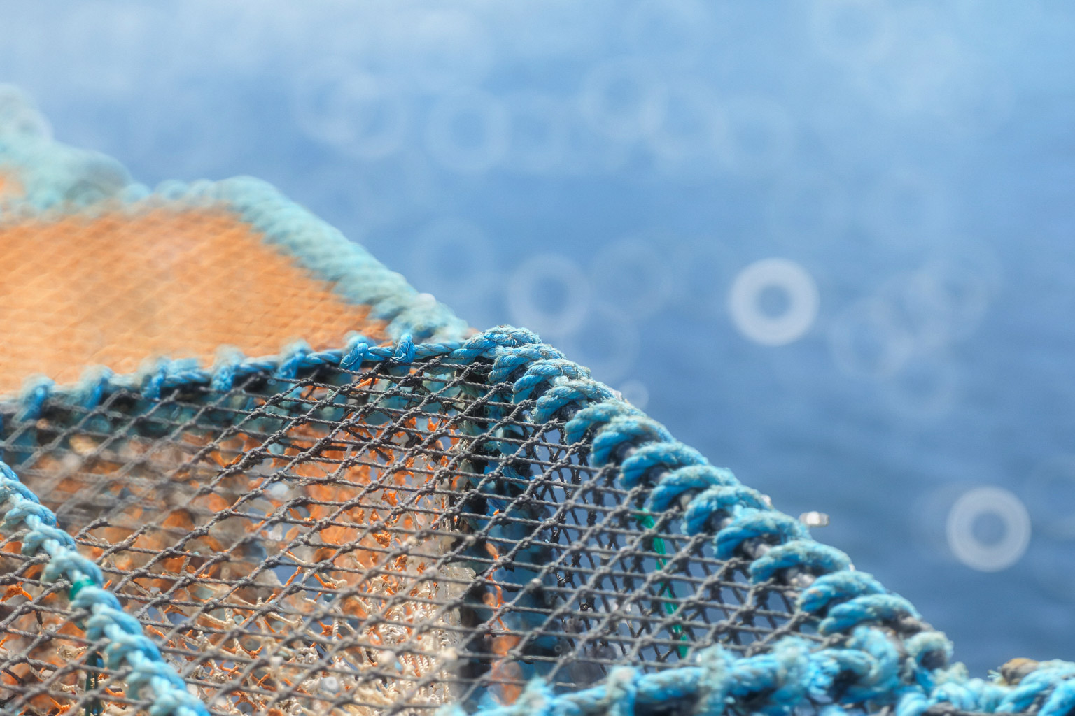 Close-up of a fishing net with blue and orange sections against a blurred background of water.