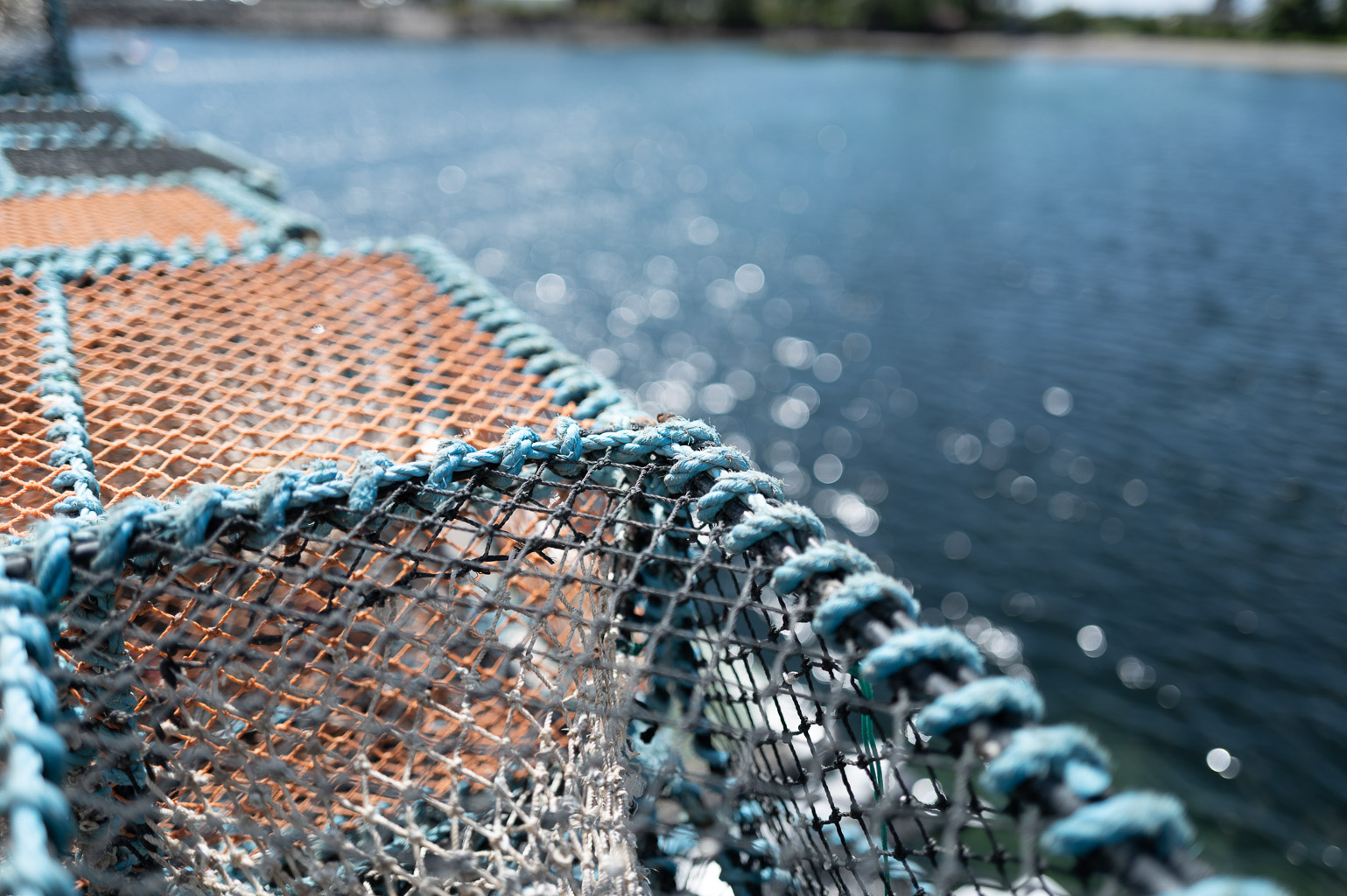 Close-up view of a fishing trap with blue and orange netting against a shimmering water background.