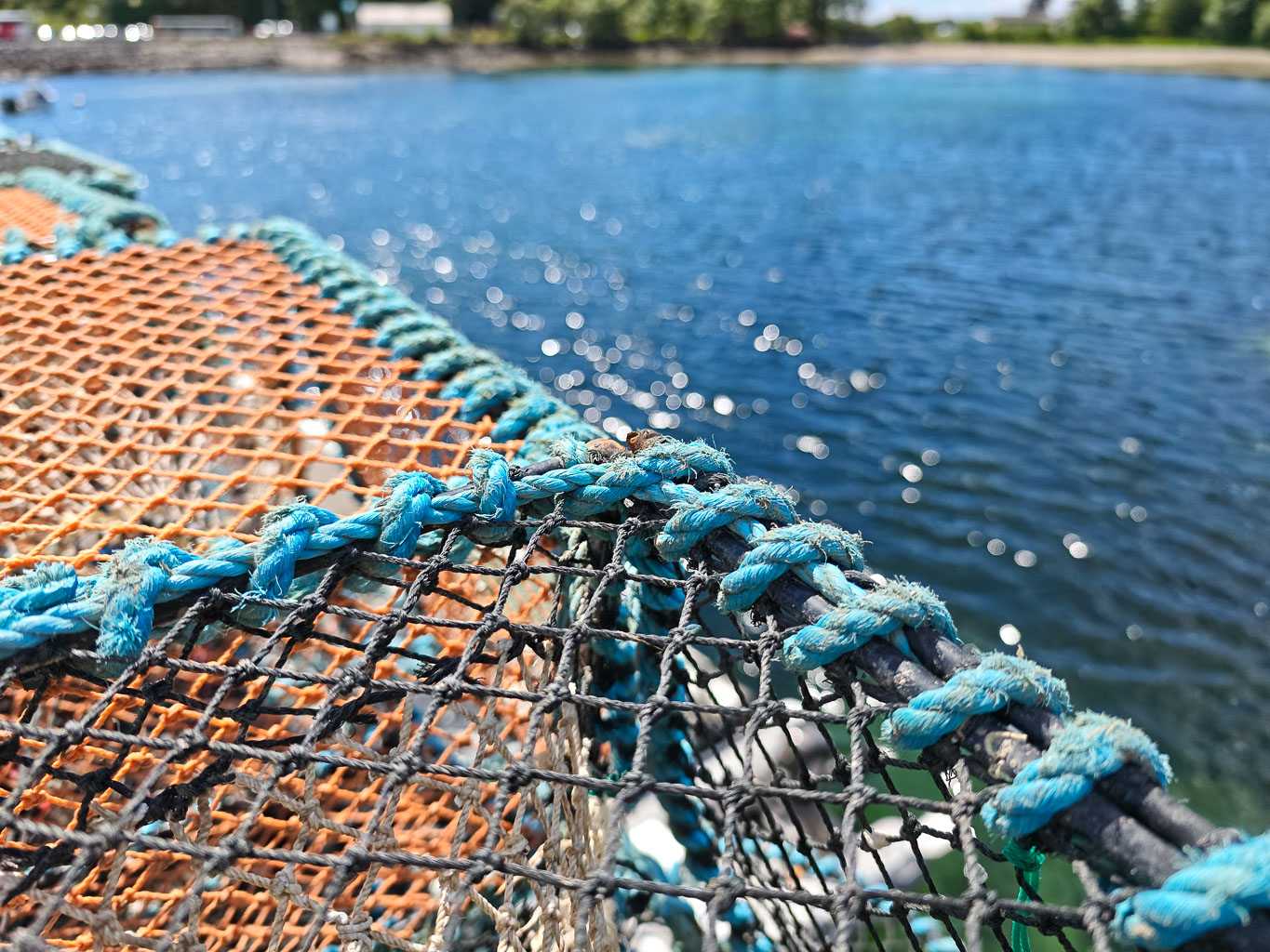 Close-up of a fishing net with blue and orange ropes against a shimmering blue water background.