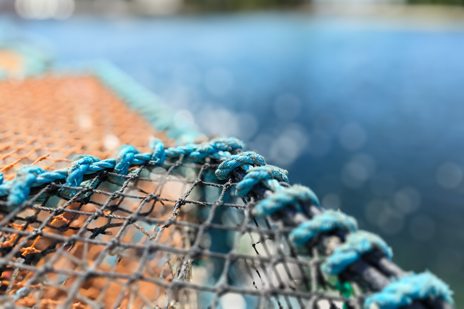 Close-up of a fishing net with blue and black rope accents, resting near water with a blurred background.
