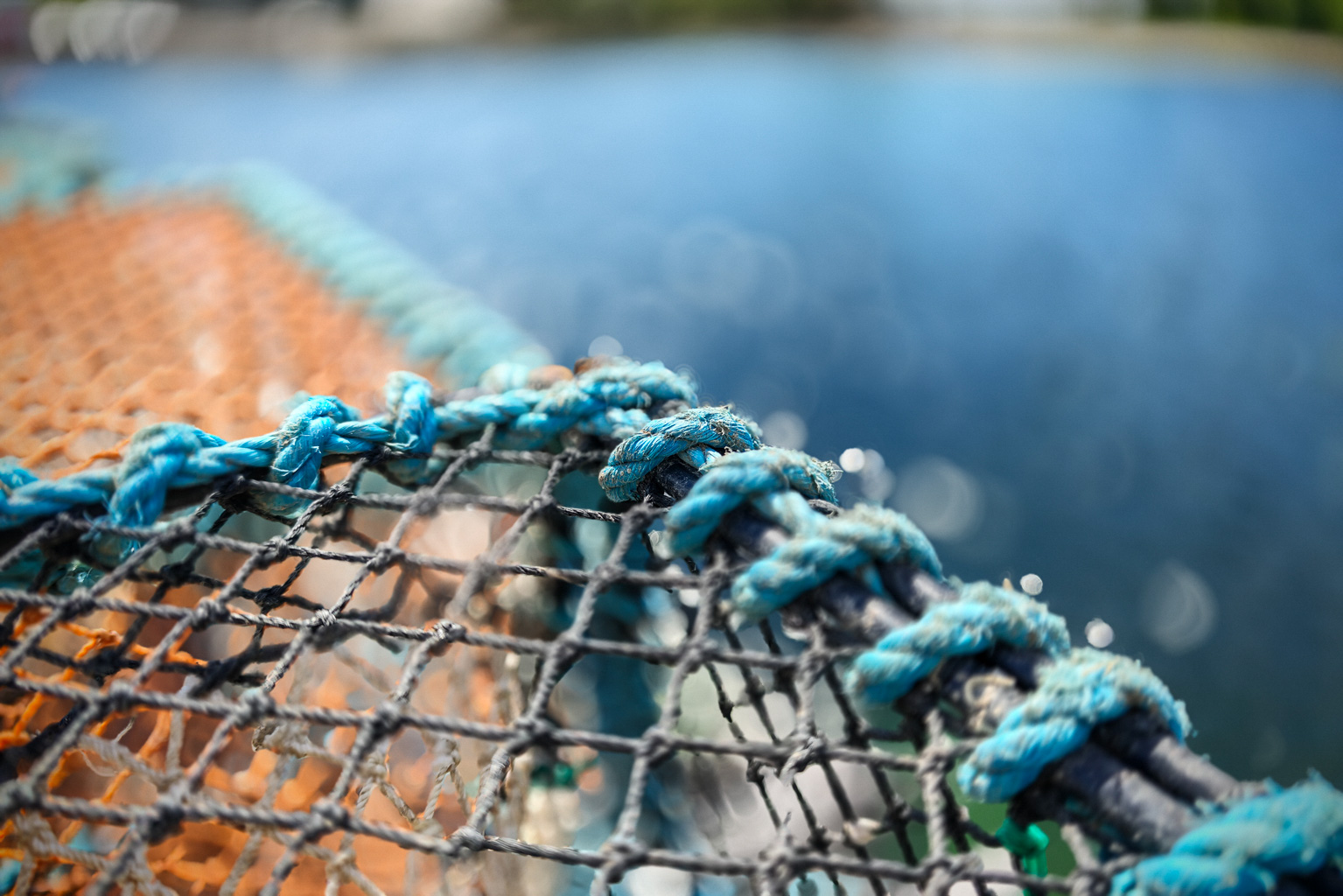 Close-up of fishing net with blue ropes and orange mesh, partially submerged in water.