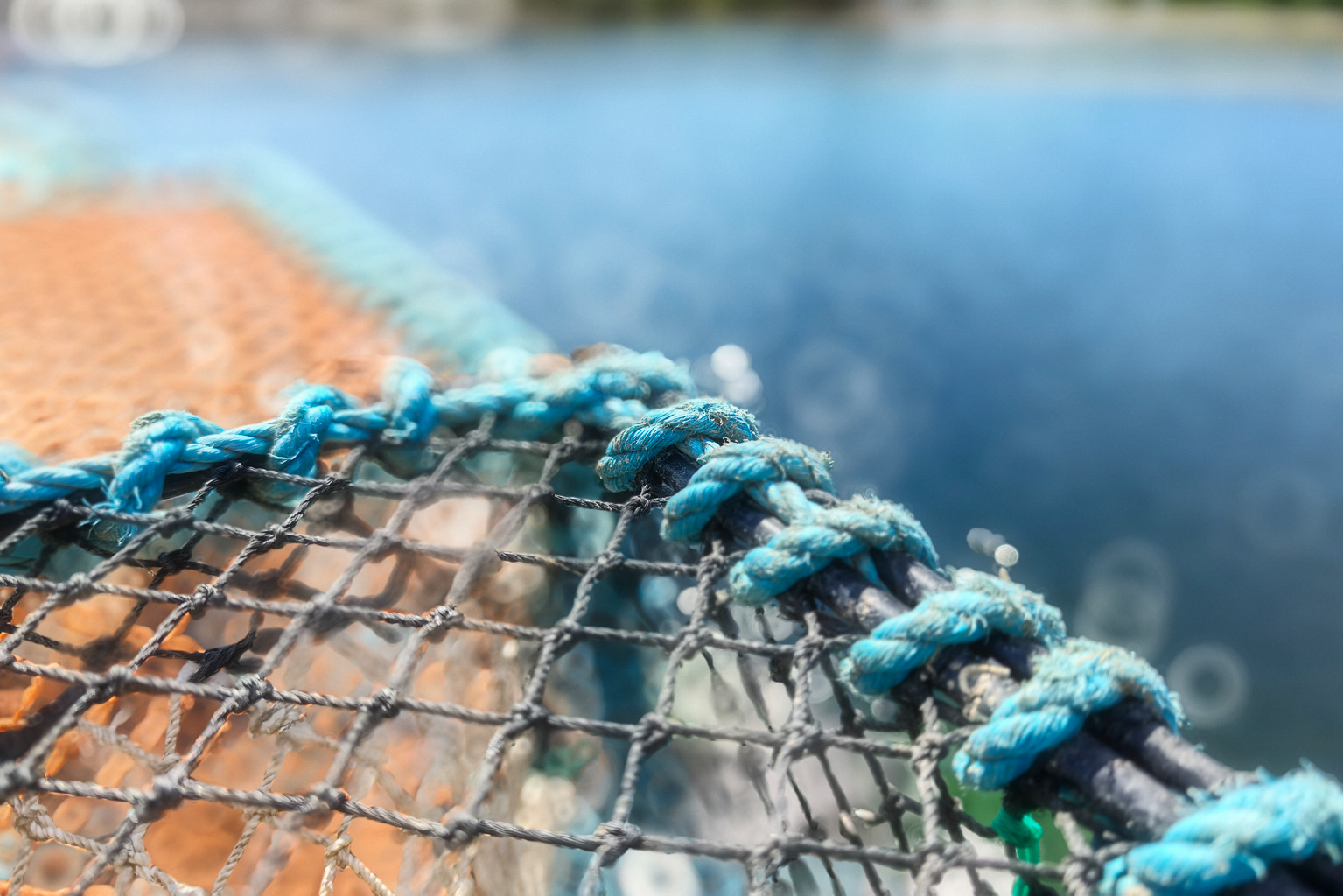Close-up of a fishing net with blue ropes and an out-of-focus water background.