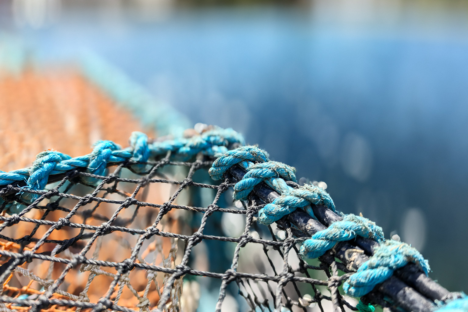 Close-up of a fishing net with blue and black ropes, blurred water in the background.