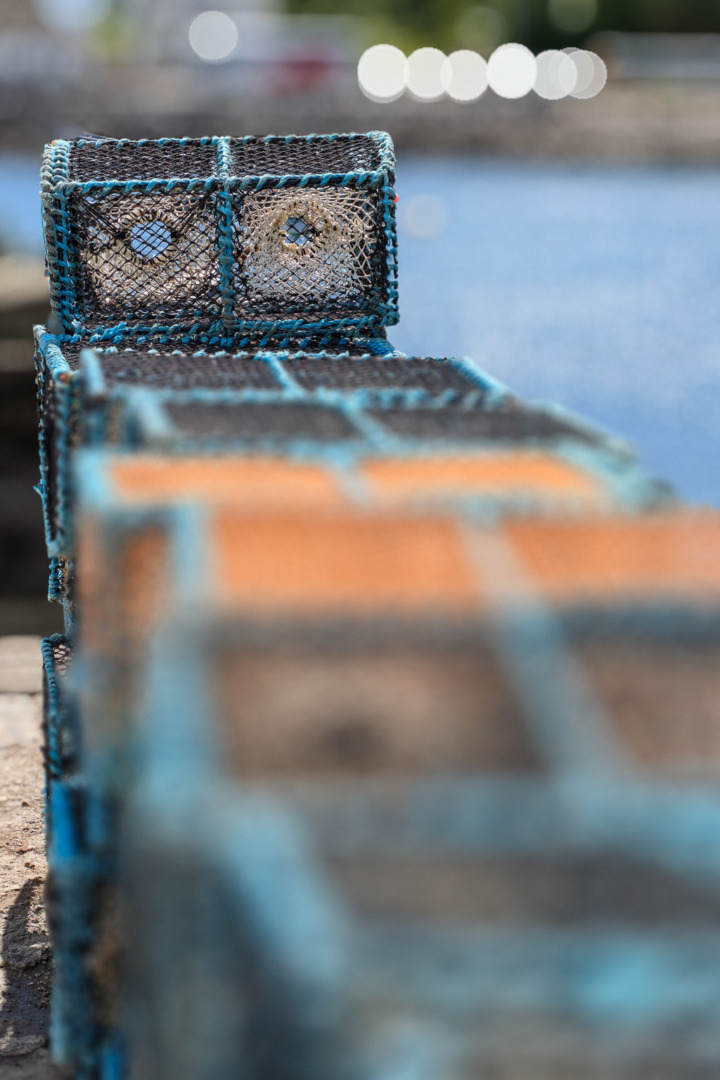 Close-up of fish traps arranged in a line, with a blurred background of water and bokeh lights.