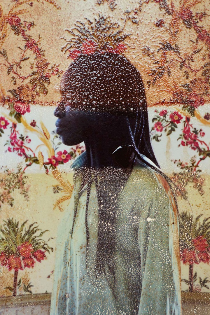 A silhouette of a person with long hair, partially obscured by a misty, textured surface, against a backdrop featuring floral patterns.