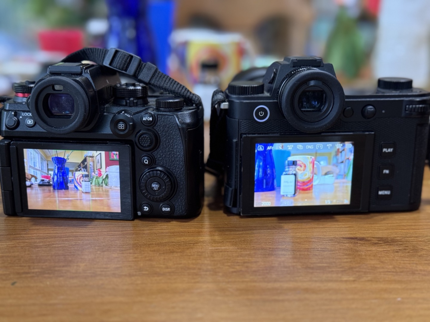 Rear of two digital cameras showing their LCD screens.