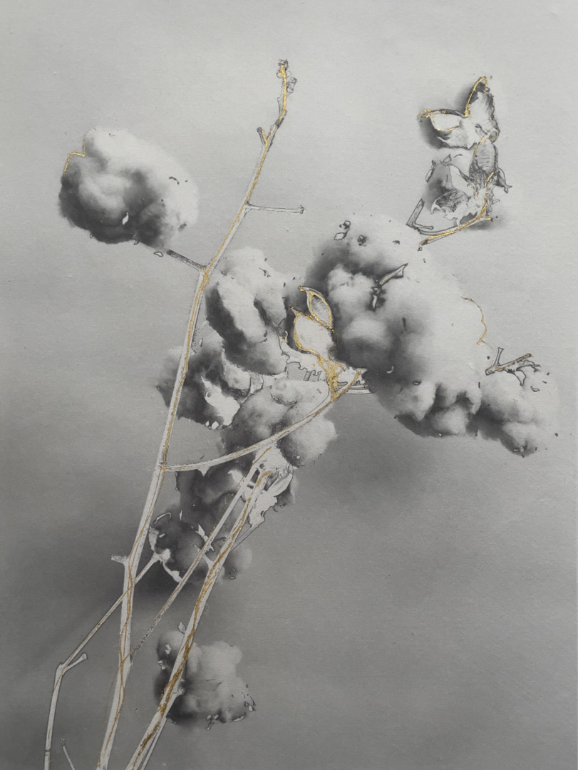 Black and white artistic illustration of cotton plants with subtle gold accents on the branches.