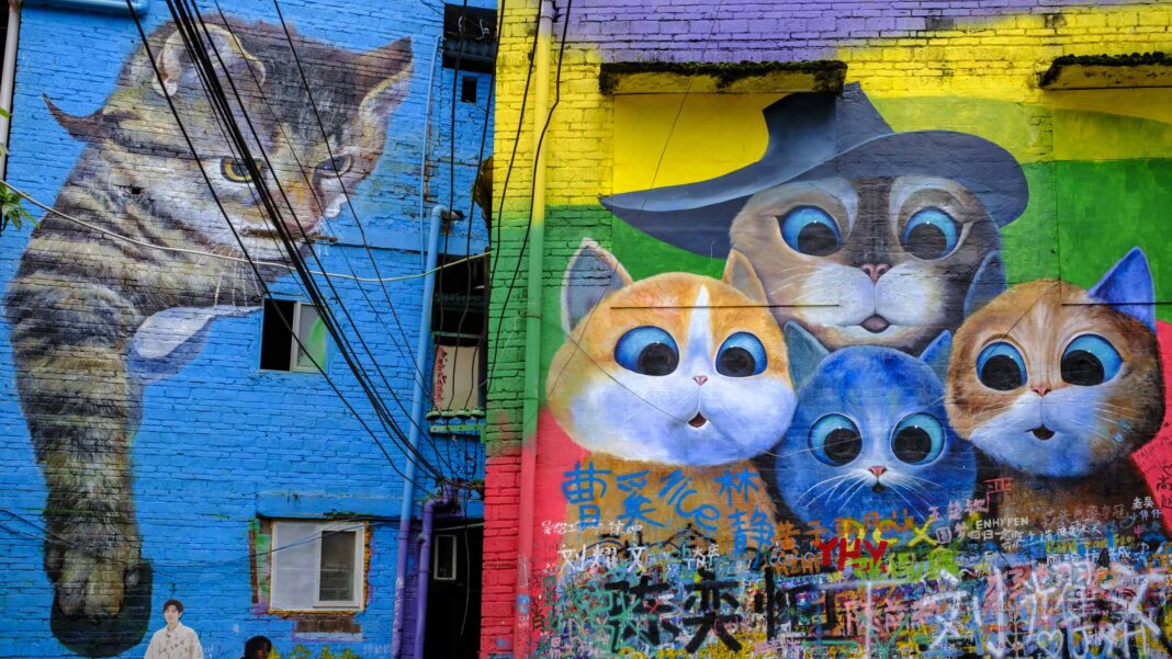 Kool Kats in Chongqing, China