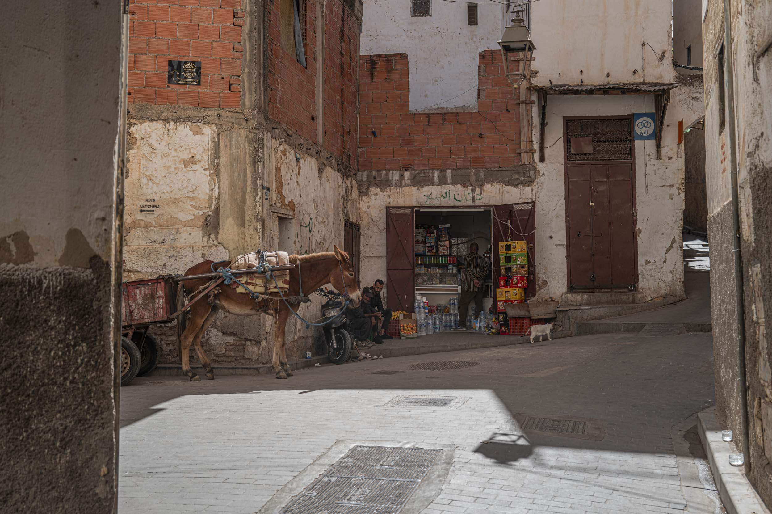 Medina scene with classic horse and cart