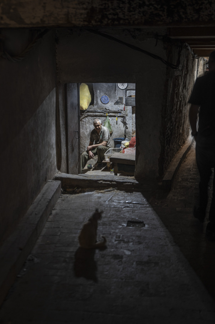cellar worker in Medina