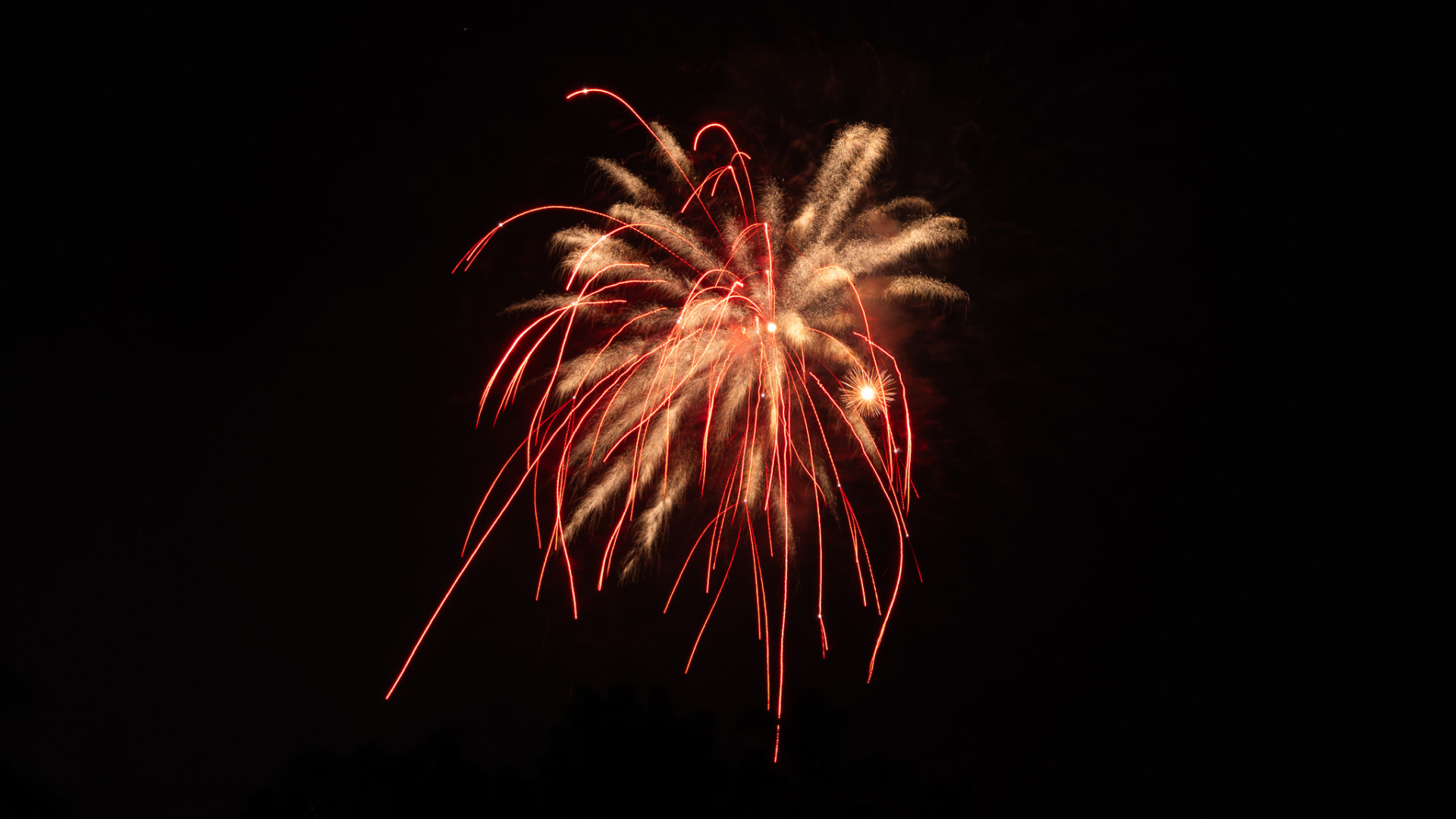 Photographing fireworks