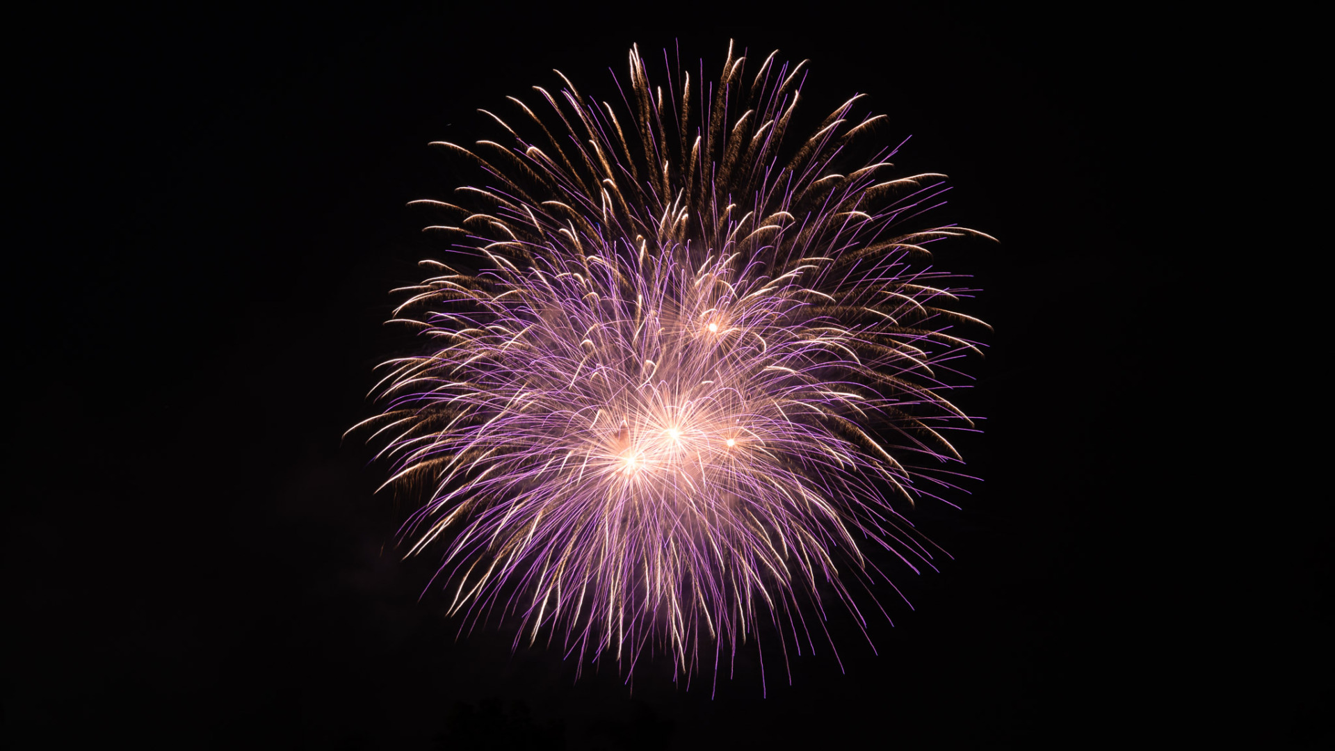 Photographing fireworks