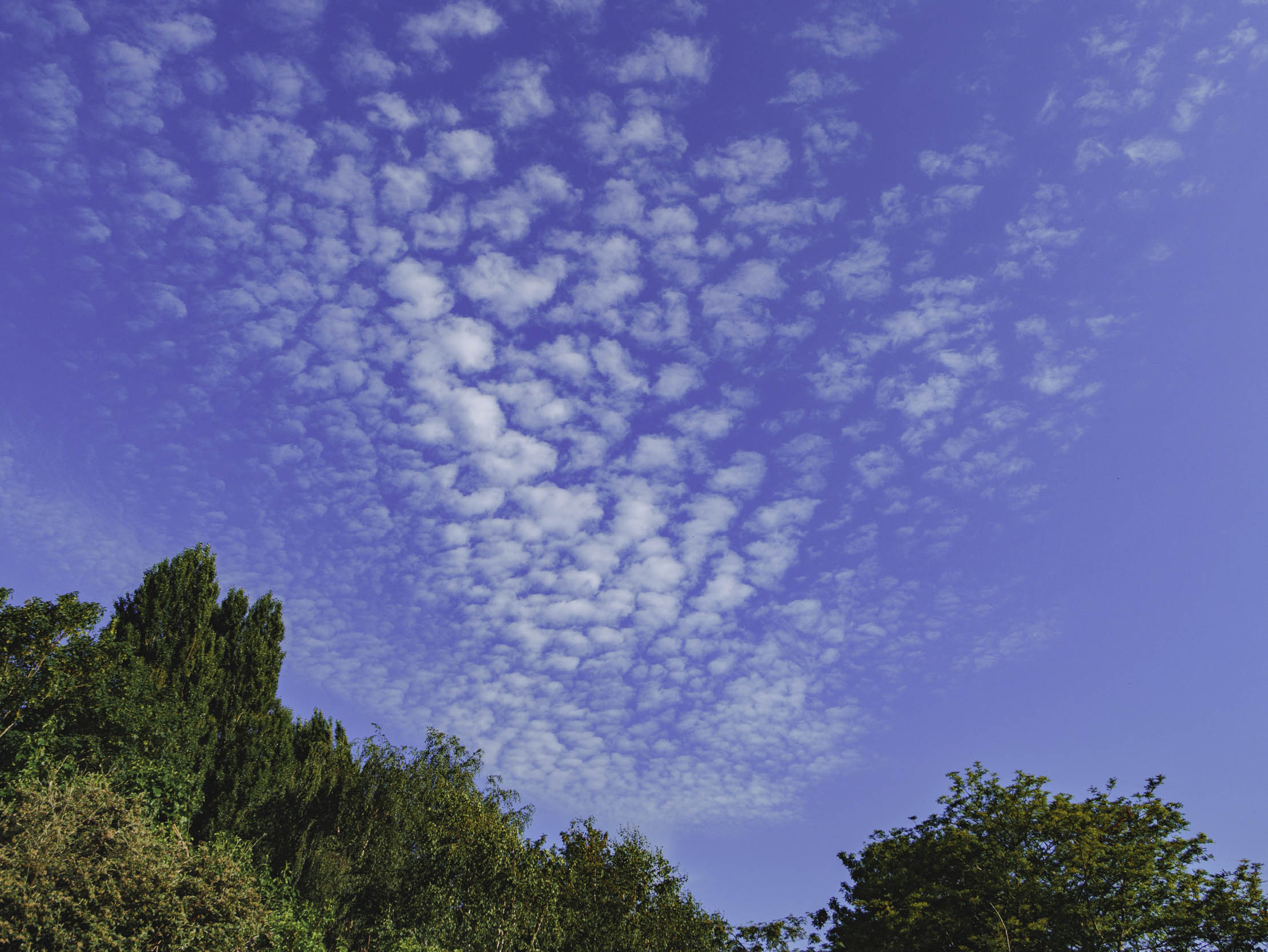 Cloud Formation