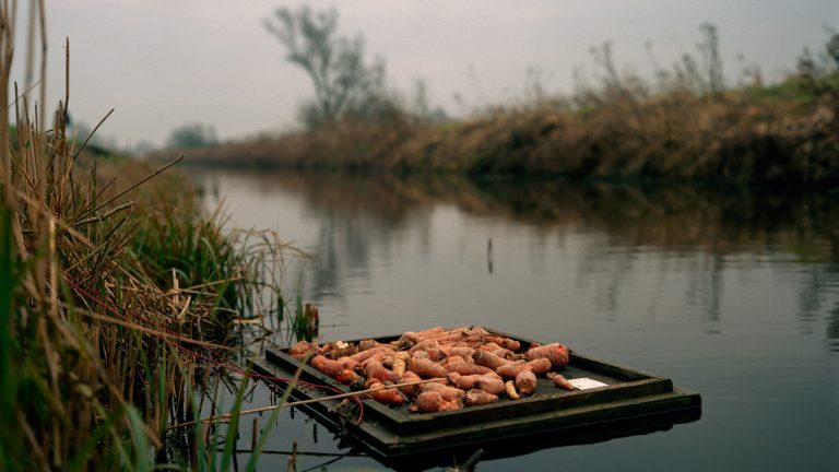Exploring Gothic themes in British documentary photography