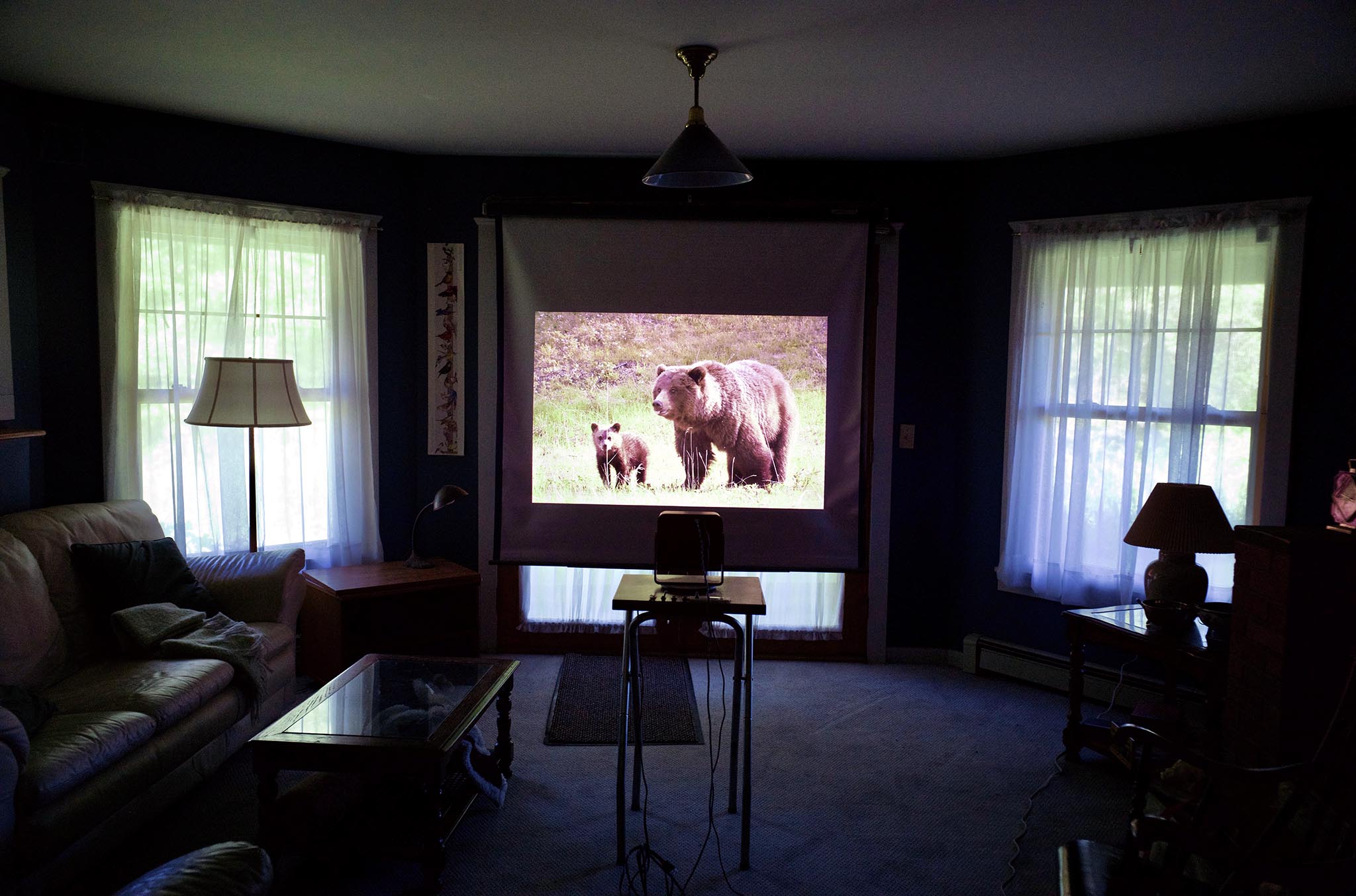 My set up with image of bear and cub projected via the Leica Cine Compact 1
