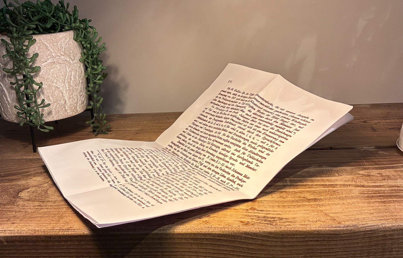 A partially unfolded sheet of printed text resting on a wooden surface, with a potted plant in the background.
