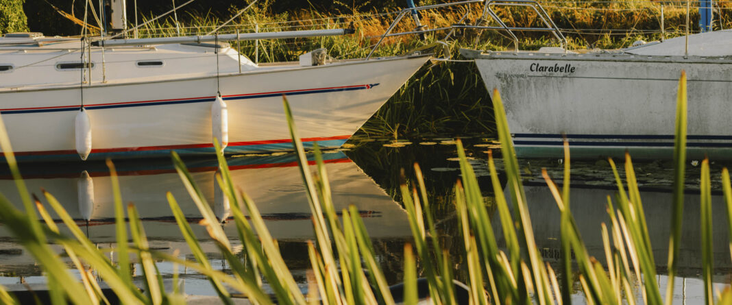 Two sailing boats moored among reeds and lily pads on a calm river, with one named Clarabelle visible on its stern.