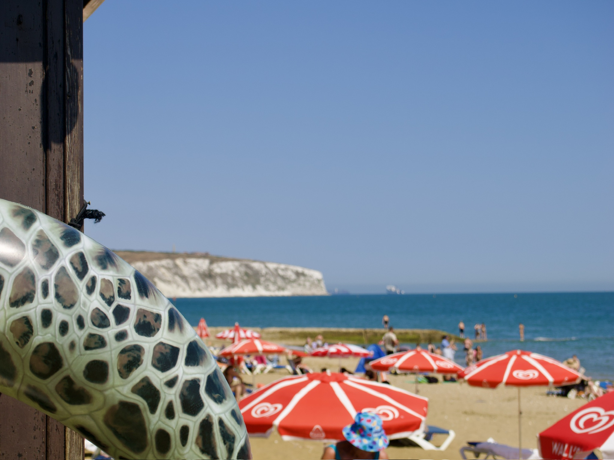 A view past a folded umbrella and wooden post towards red-and-white striped beach umbrellas, a sandy beach and distant white chalk cliffs.